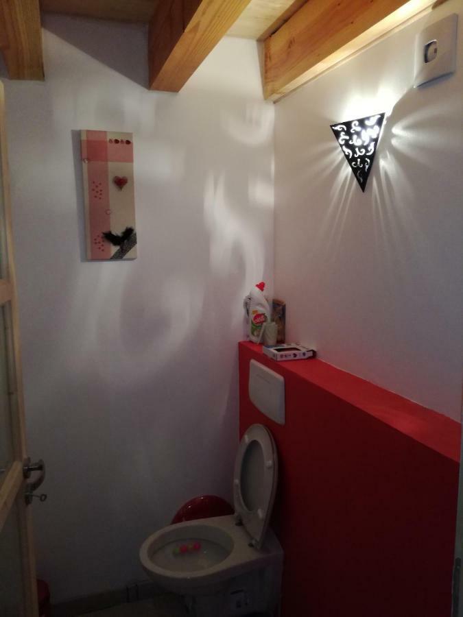 Gite De Caractere En Pleine Nature Bourg-de-Visa 外观 照片